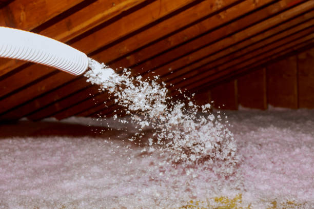 Best Fiberglass Insulation in Rainsville, AL