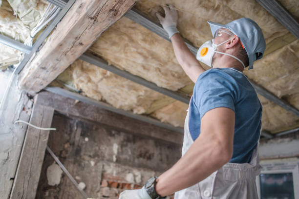 Reliable Rainsville, AL Insulation Contractor Solutions