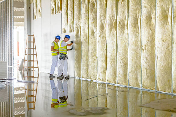 Best Cellulose Insulation in Rainsville, AL